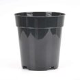 thumbnail image 1 of Transparent plastic plant pots for home and garden, set of 10, designed for various plant species (7.6 cm / 3 inches)., 1 of 5