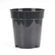 thumbnail image 1 of Transparent plastic plant pots for home and garden, set of 10, designed for various plant species (7.6 cm / 3 inches)., 1 of 5