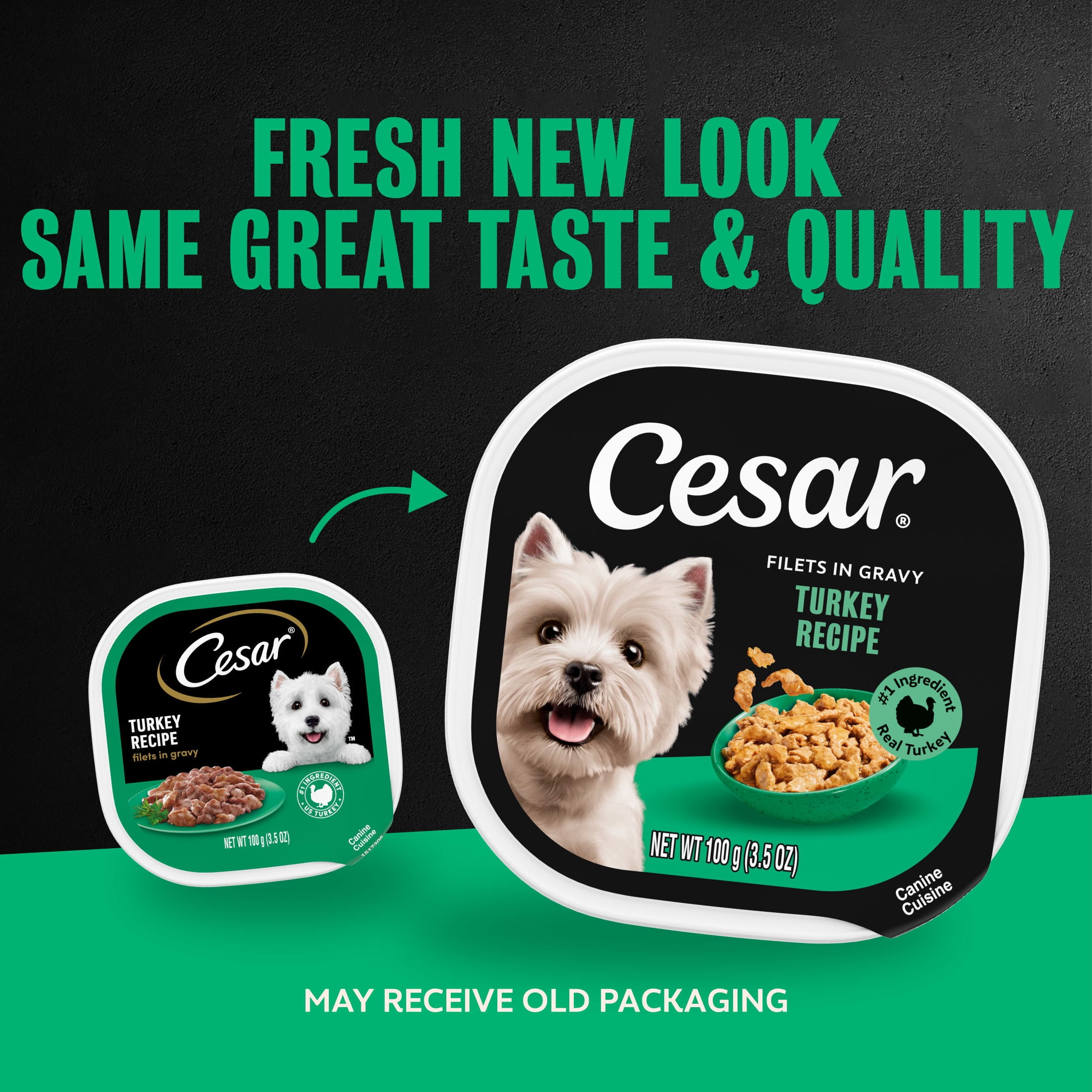 Cesar Filets in Gravy Wet Dog Food, Turkey Flavor, 3.5 oz. Trays, Pack of 24