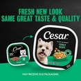 thumbnail image 4 of Cesar Filets in Gravy Wet Dog Food, Turkey Flavor, 3.5 oz. Trays, Pack of 24, 4 of 14
