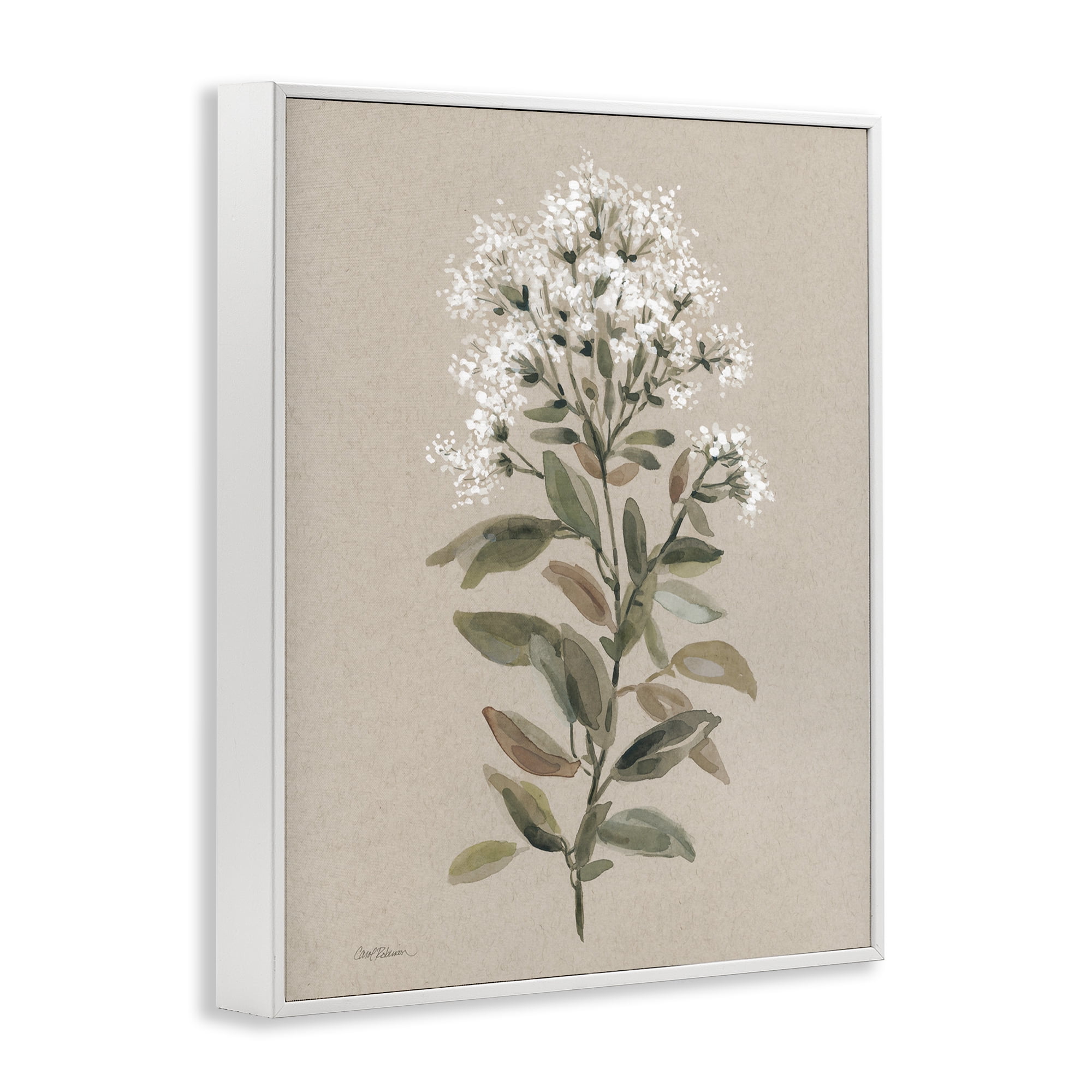 Stupell Industries Blooming Watercolor Flower Botanical & Floral Painting White Framed Art Print Wall Art, 16 x 20