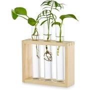 Tabletop Hanging Glass Planter Propagation Station Modern 3 Test Tube Flower Bud Vase in Wood Stand Rack Tabletop Terrarium for Hydroponic Plants Cuttings Office Home Decoration, Gift for Plant Lover