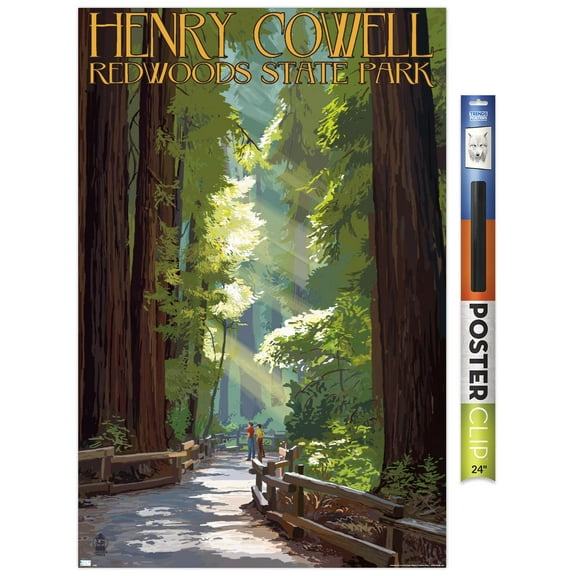 Lantern Press - Redwoods State Park, Henry Cowell, Pathway in Trees Wall Poster, 22.375" x 34"