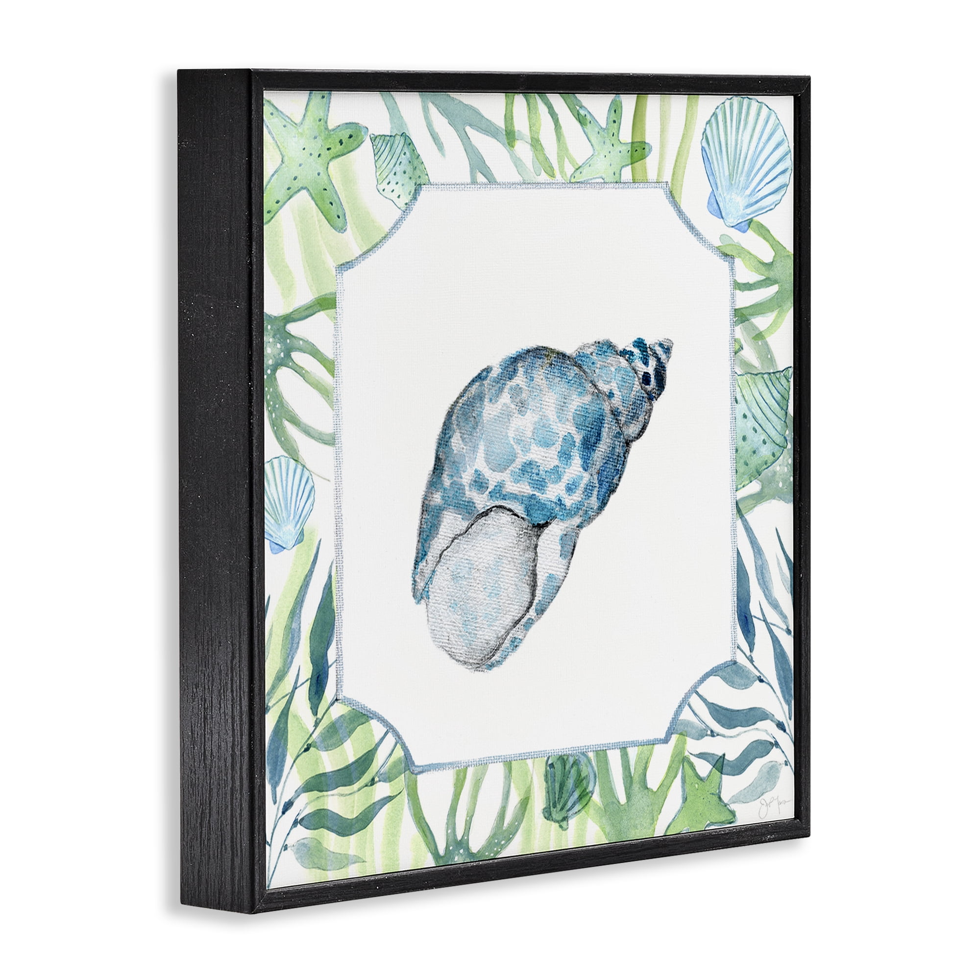 Stupell Industries Spotted Cowrie with Seaweed Black Framed Giclee Art, design by Janet Tava