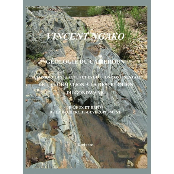Géologie du Cameroun (Hardcover)