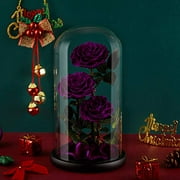 Eterfield Preserved Real Rose Handmade Eternal Rose in Glass Doom Gift for Her Valentine's Day Mother's Day Anniversary Birthday (Large, 3 Purple Roses)