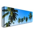 thumbnail image 2 of Trademark Art "Palms" Canvas Art by Preston, 2 of 2