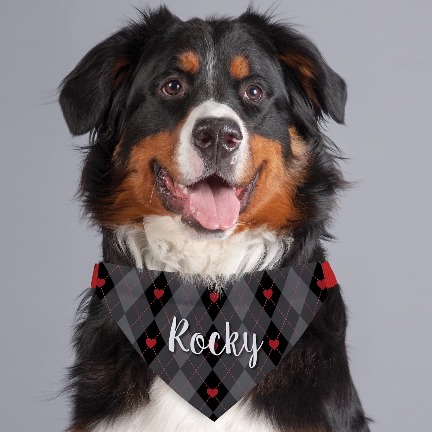black bandana dog collar