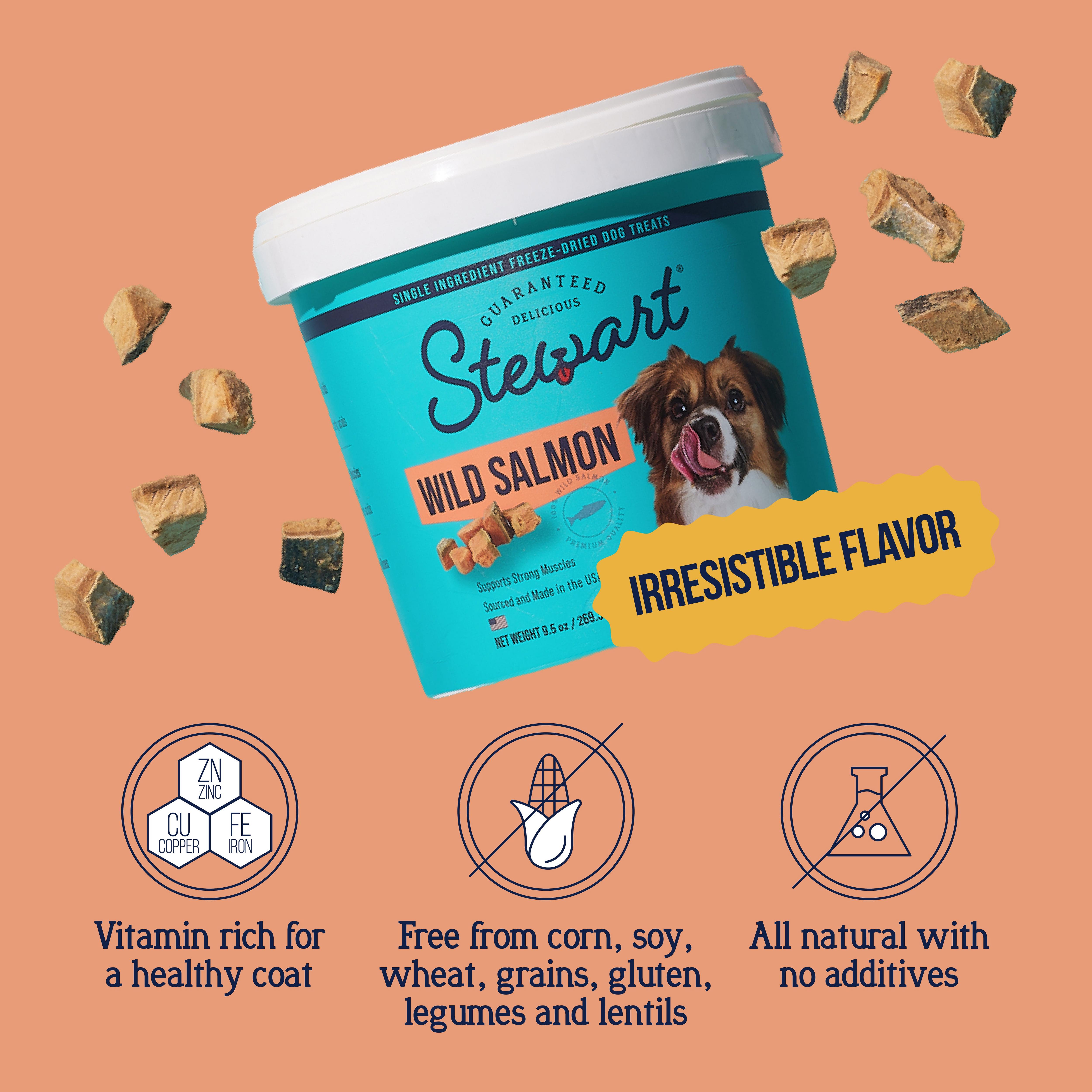 Stewart Freeze Dried Raw Salmon Training Treats, 9.5 oz photo 2