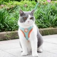 thumbnail image 6 of Feelers Pet Cat Dog Harness and Leash for Walking, Soft Adjustable Vest Harnesses, XL, Blue, 6 of 7