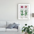 thumbnail image 3 of Trademark Fine Art 'Italian Carnation 3' Canvas Art by Fab Funky, 3 of 3