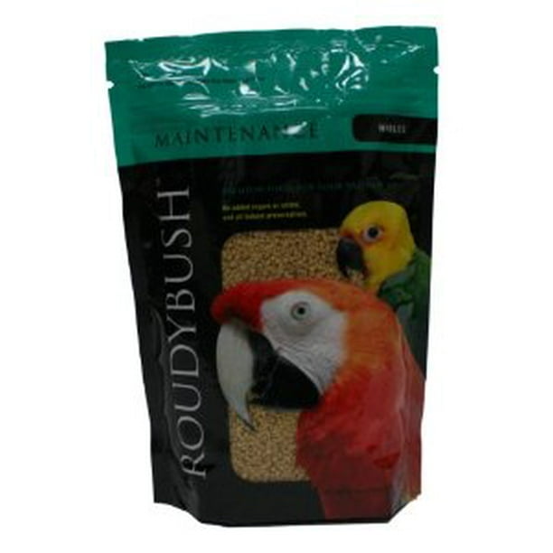 Budgie top food walmart