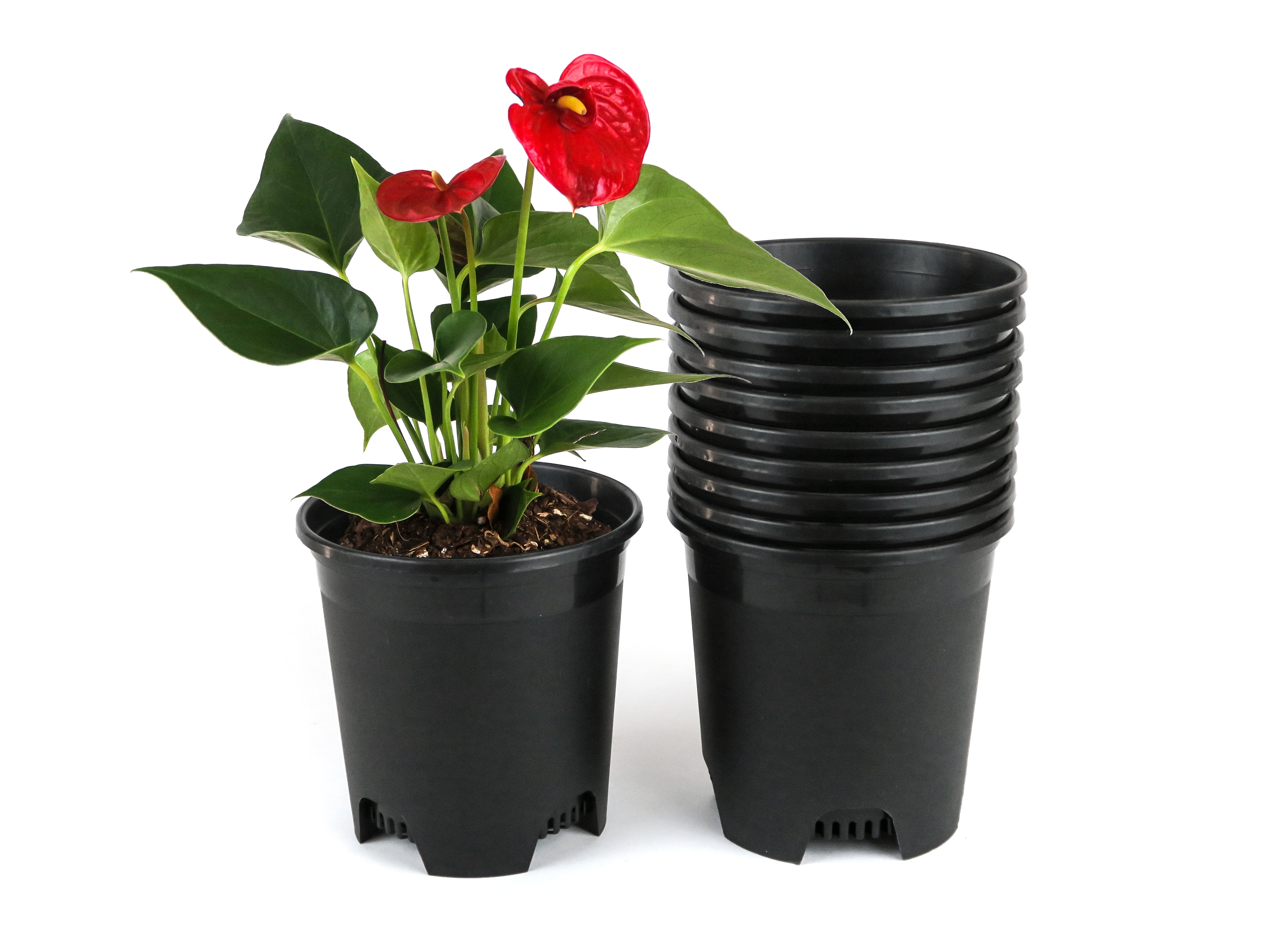 Cotta Planters 5 Inch Nursery Pots 30Pack 0.5 Gallon Bulk Plastic