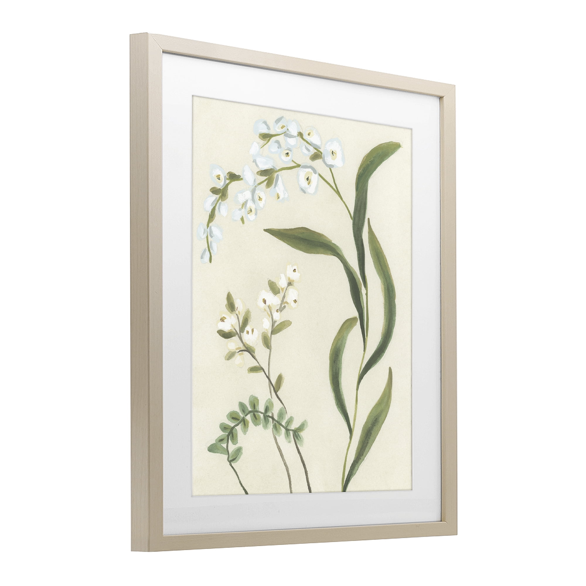 Stupell Industries Neutral Snowdrop Stems Birch Framed Print Under Glass, design by June Erica Vess