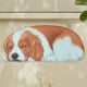 thumbnail image 5 of onlyliua Liquidación Alfombra Mascota Adorable En 3D, Bienvenida para El Piso, 34,25 X 15,74 Pulgadas, Alfombra Antideslizante para El Piso, Divertida y Novedosa para Vacaciones de Verano, Decoración, 5 of 6