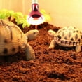 thumbnail image 3 of POINTERTECK 100W Infrared Basking Spot Heat Lamp Bulb Red Light Heat Bulbs for Pet Lizards Snakes Reptiles, 3 of 9