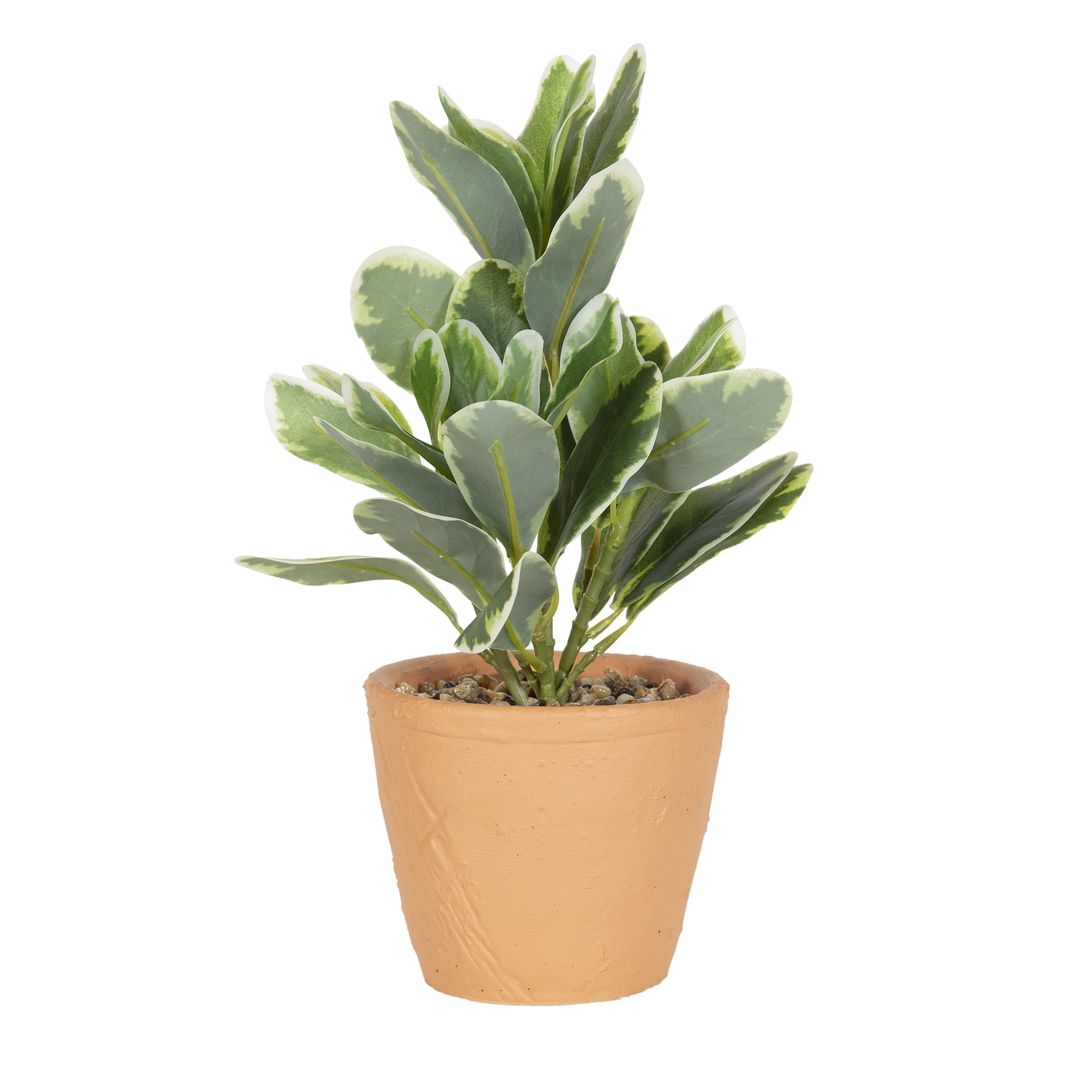 Mainstays 12” H Artificial Variegated Leaf Green Plant in Terracotta Cement Pot
