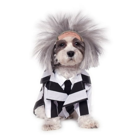 Halloween Beetlejuice Pet Costume