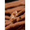 thumbnail image 2 of Shimlock, Jones 14x18 Gold Ornate Wood Framed with Double Matting Museum Art Print Titled - Indonesia, Raja Ampat Pygmy seahorse by coral, 2 of 4