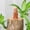 🔥 A_New, variant on Sentmoon Room Decor Small Decoration Zen Monk Home Decoration Living Room Tea Table Doll Doll Cure Department Decompression