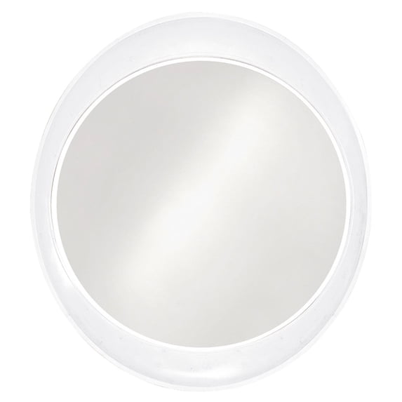 Elizabeth Austin Ellipse Mirror - 35W x 39H in.
