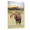 thumbnail image 2 of Epic Art 'Jackson Horse Farm' by Lori Deiter, Acrylic Glass Wall Art, 16"x24", 2 of 3