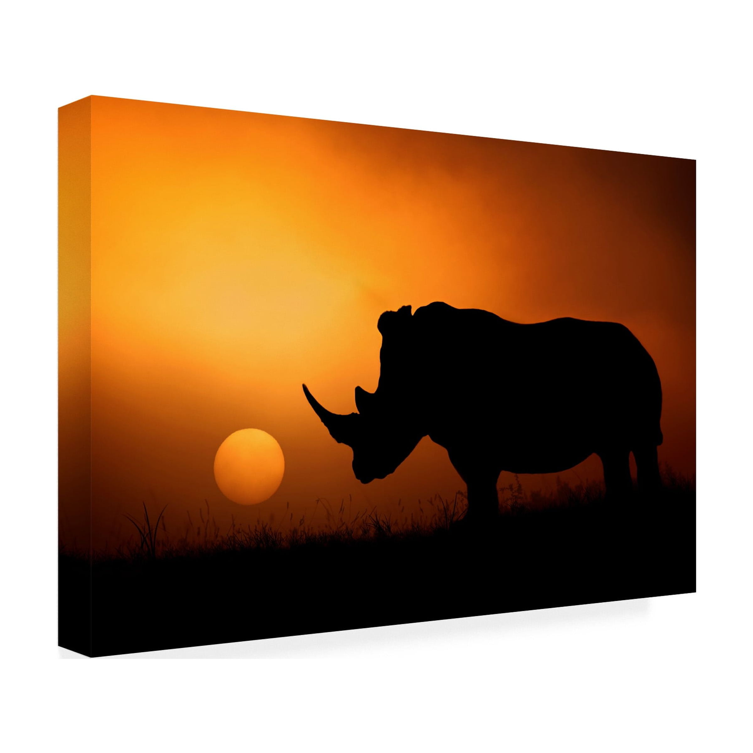 Mario Moreno 'Rhino Sunrise' Canvas Art