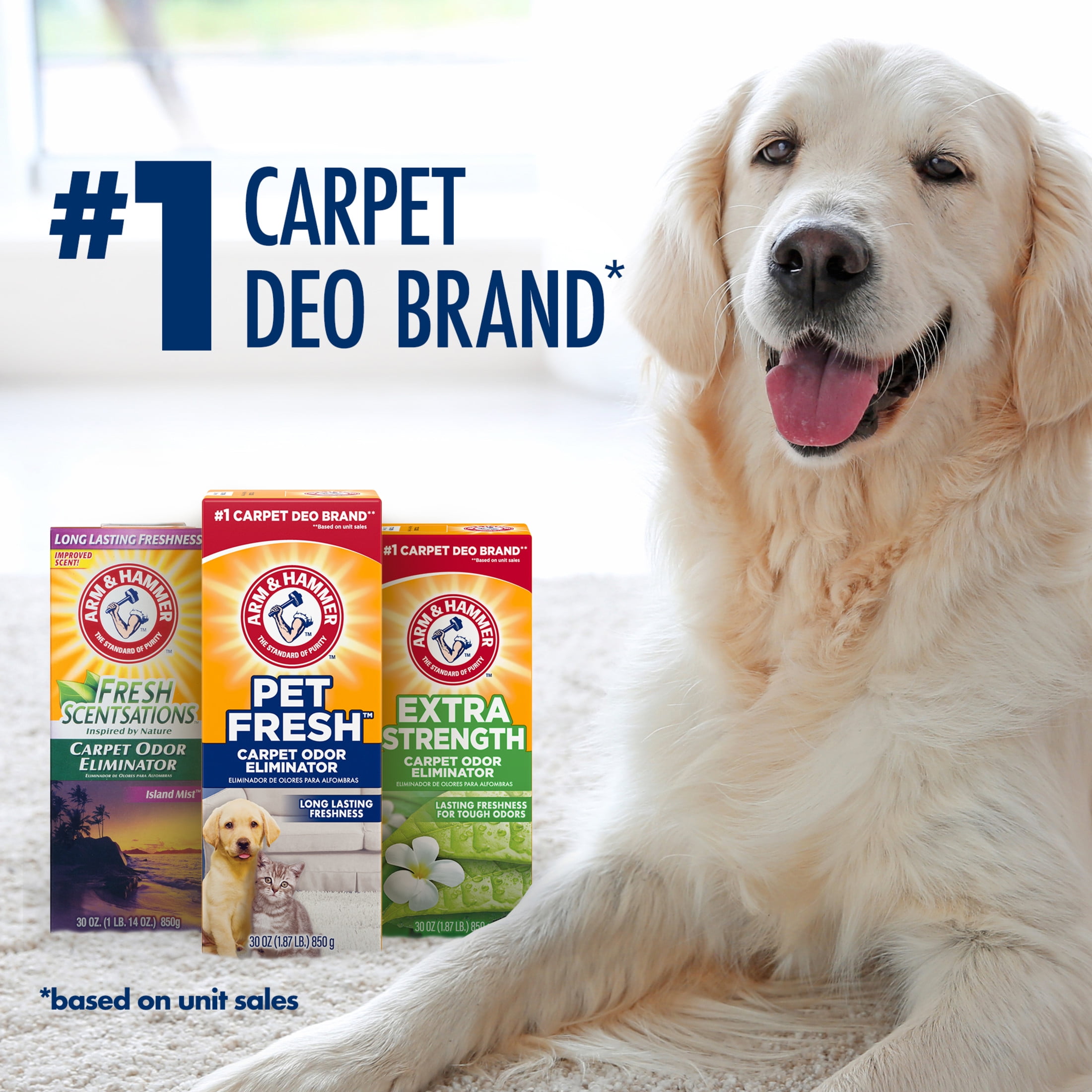 (3 pack) ARM & HAMMER Pet Fresh Carpet Odor Eliminator, for Homes with Dogs and Cats, Fresh Scent, 42.6 oz