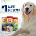 thumbnail image 3 of ARM & HAMMER Pet Fresh Carpet Odor Eliminator, for Homes with Dogs and Cats, Fresh Scent, 42.6 oz, 3 of 10