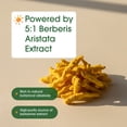 thumbnail image 3 of NatureBell Berberine 500mg - 300 Capsules - 97% Pure Berberine HCl - 5:1 Root Extract of Berberis Aristata - Antioxidant, Alkaloid & Adaptogenic Support - 150 Servings, 3 of 8