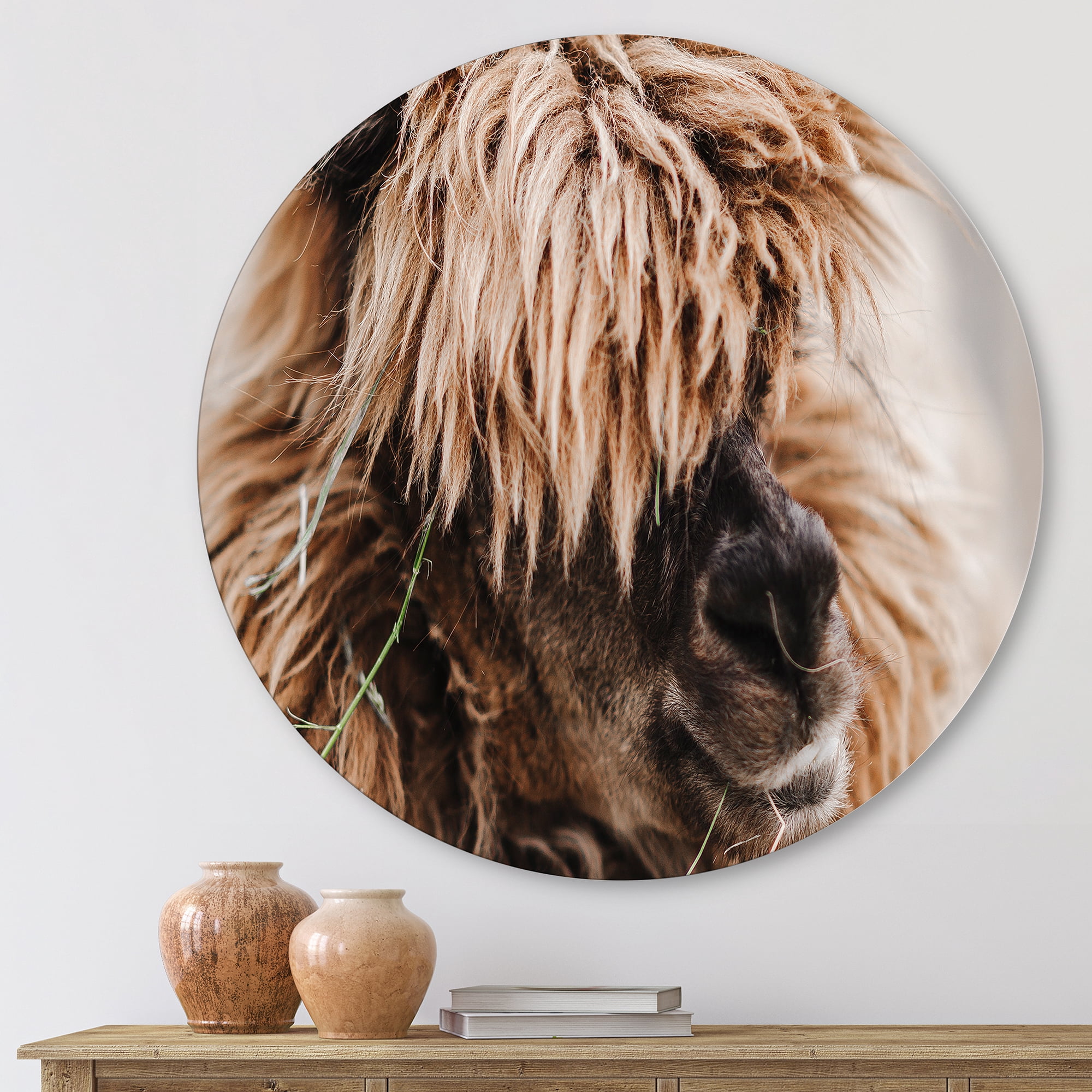 Designart 'Close Up Of Fluffy Curly Alpaca' Farmhouse Circle Metal Wall Art 11x11 - Disc of 11