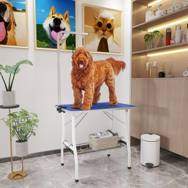 CoSoTower Dog Grooming Table w/ Adjustable Arm, Mesh Tray, Two Nooses, Rubber Surface, 35" x 24" x 61", Blue