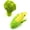 Broccoli+Corn, variant on Broccoli & Corn Plush Pet Squeak Toys - Soft Plush with Squeaker, Cotton Filling, Portable Chew Toys for Small & Medium Dogs (Broccoli)