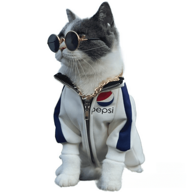 Gafas para mascotas, gafas para mascotas, gafas para cachorros, gafas redondas para gatitos
