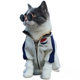thumbnail image 1 of Gafas para mascotas, gafas para mascotas, gafas para cachorros, gafas redondas para gatitos, 1 of 4