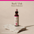 thumbnail image 5 of Bach Original Flower Remedies, Oak - 20 mL Dropper, 5 of 6