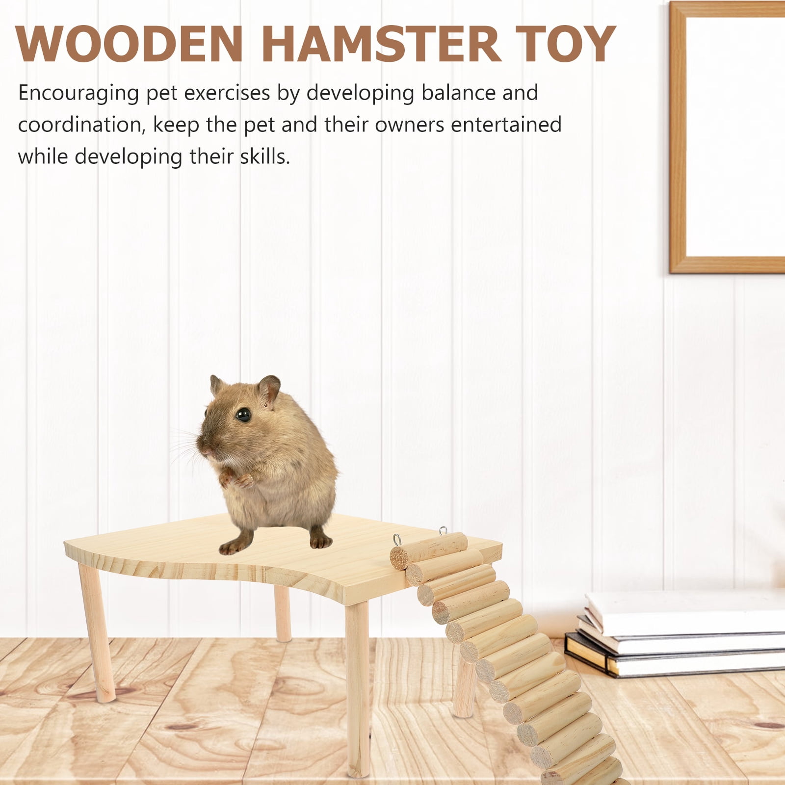 PBPBOX Hamster Supplies Set with Ladder for Indoor Activities 1 Set