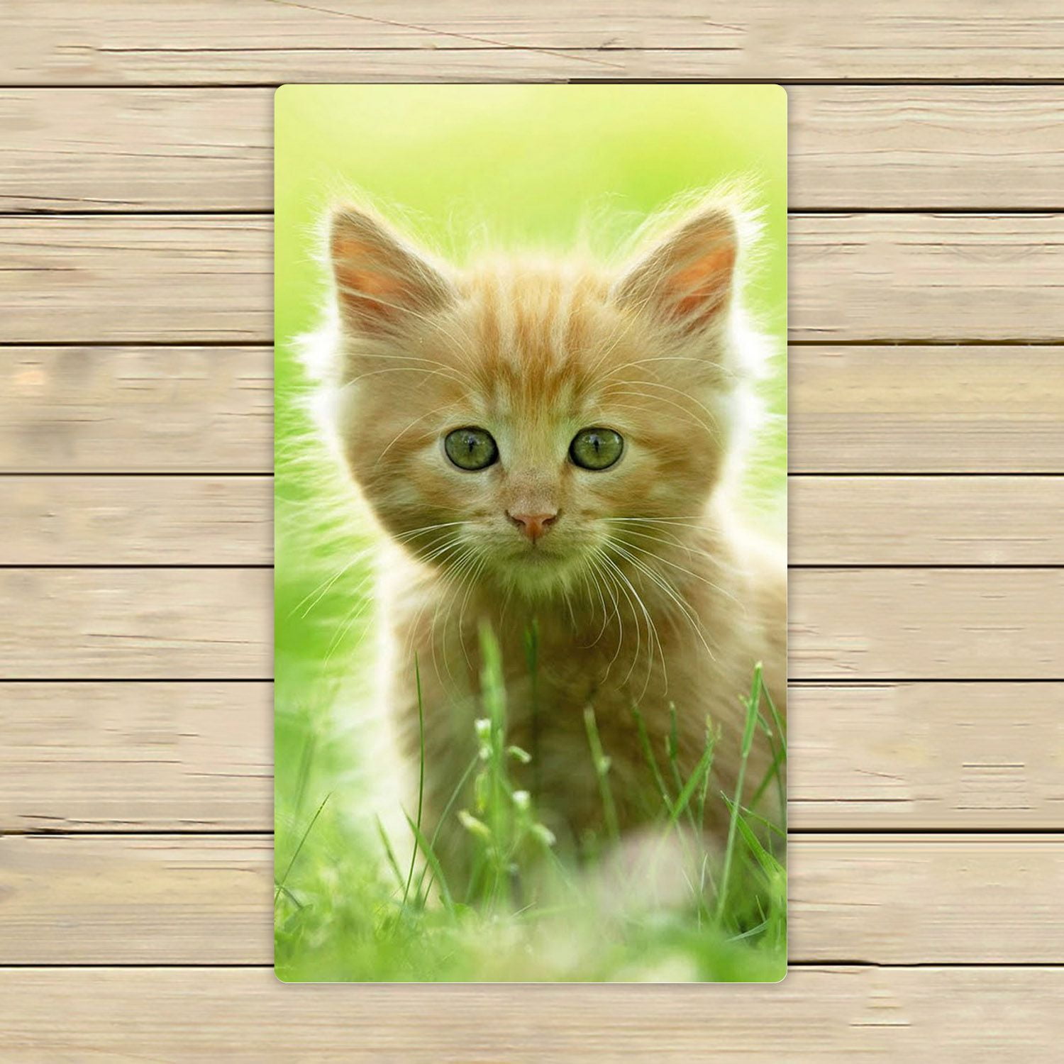 ZKGK Animals Kitten Cat Hand Towel Bath Towels Beach Towel For Home
