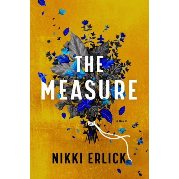 Nikki Erlick: The Measure: A Novel (Hardcover)