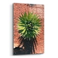 thumbnail image 2 of Epic Art 'Utah - Cactus 2' by Epic Portfolio, Acrylic Glass Wall Art, 24"x36", 2 of 8