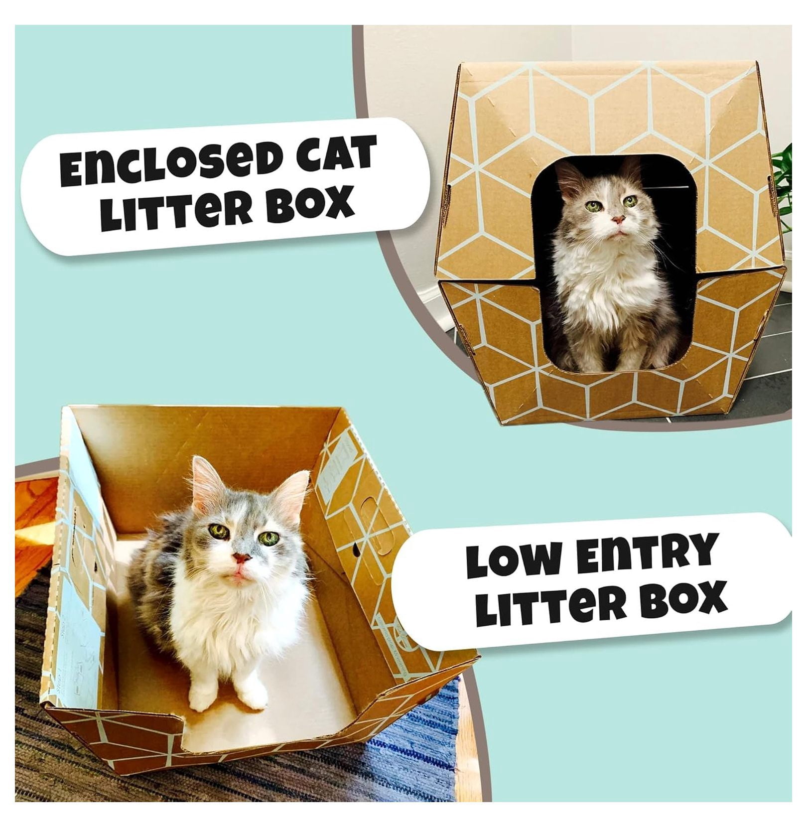 Disposable Cat Litter Boxes 15 Pack - Tallest Low Entry Design 19x17x8.5in - Leakproof Cat Litter Tray - Versatile Open/Closed Use - Cat Care Essentials