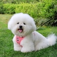 thumbnail image 2 of Cherry Embroidered Dog Harness, Lightweight Breathable Pet Vest Harness for Small Dogs, Adjustable Strap Harness for Walking and Outdoor Activities,Red,M, 2 of 3