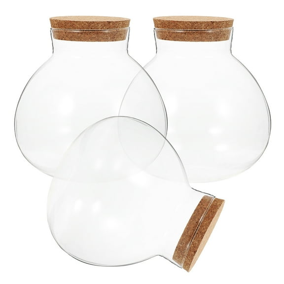 TEHAUX 3pcs Cork Glass Bottle Glass Jar Plants Small Terrarium Tabletop Glass Microlandscape Planter Plant Bottle