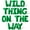 Green, variant on Letter Balloons - WILD THING ON THE WAY 16" Inch Alphabet Letters Foil Mylar Balloon Baby Shower Party Banner (Purple)