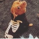 thumbnail image 4 of Halloween mascota perro gato calavera sudaderas con capucha brillante esqueleto huesos traje para perros gatos (XL) Sailing Electrónica, 4 of 5