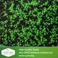 thumbnail image 6 of 2 Packs Curled Cress Microgreens Seeds - Non-GMO Heirloom Annual Full Sun Herb, 6 of 6