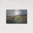 thumbnail image 3 of Luxe Metal Art 'Country Sunset ' by Lori Deiter, Metal Wall Art, 36"x24", 3 of 9
