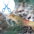thumbnail image 1 of ADDHAT 3Ud Pinza Limpieza De Desechos Para Reptiles Azul De Material Duradero Y Resistencia, 1 of 6