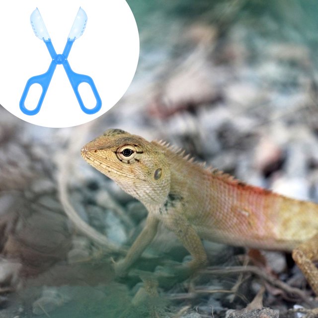 ADDHAT 3Ud Pinza Limpieza De Desechos Para Reptiles Azul De Material Duradero Y Resistencia