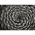 thumbnail image 3 of Geyman, Vitaly 14x11 Black Modern Framed Museum Art Print Titled - Floral Labyrinth II, 3 of 5